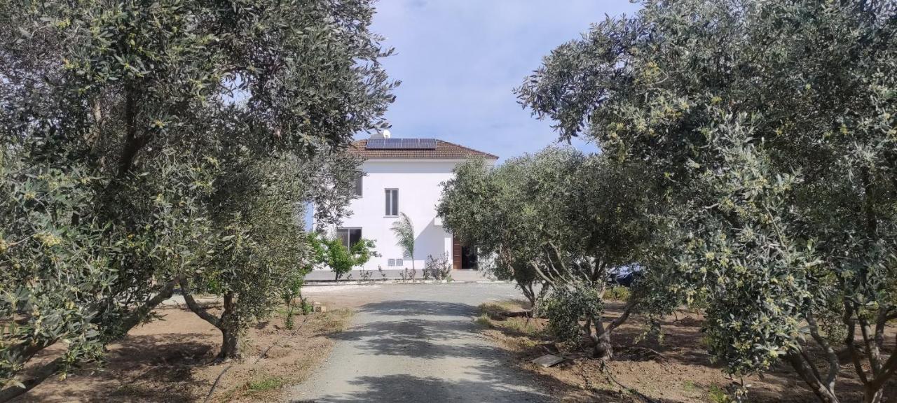 Kiti Village Villa, Cyprus, Salt-Water Pool, 6 Bedrooms, Larnaca Dış mekan fotoğraf