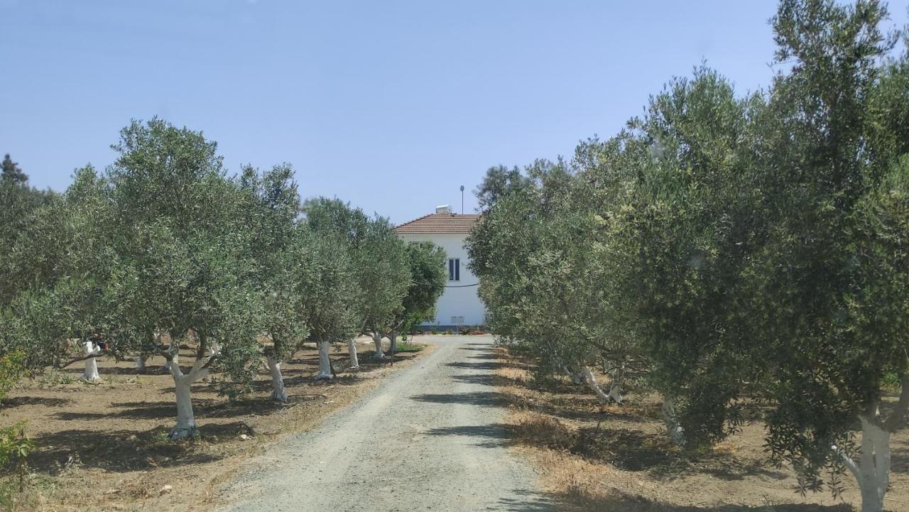 Kiti Village Villa, Cyprus, Salt-Water Pool, 6 Bedrooms, Larnaca Dış mekan fotoğraf