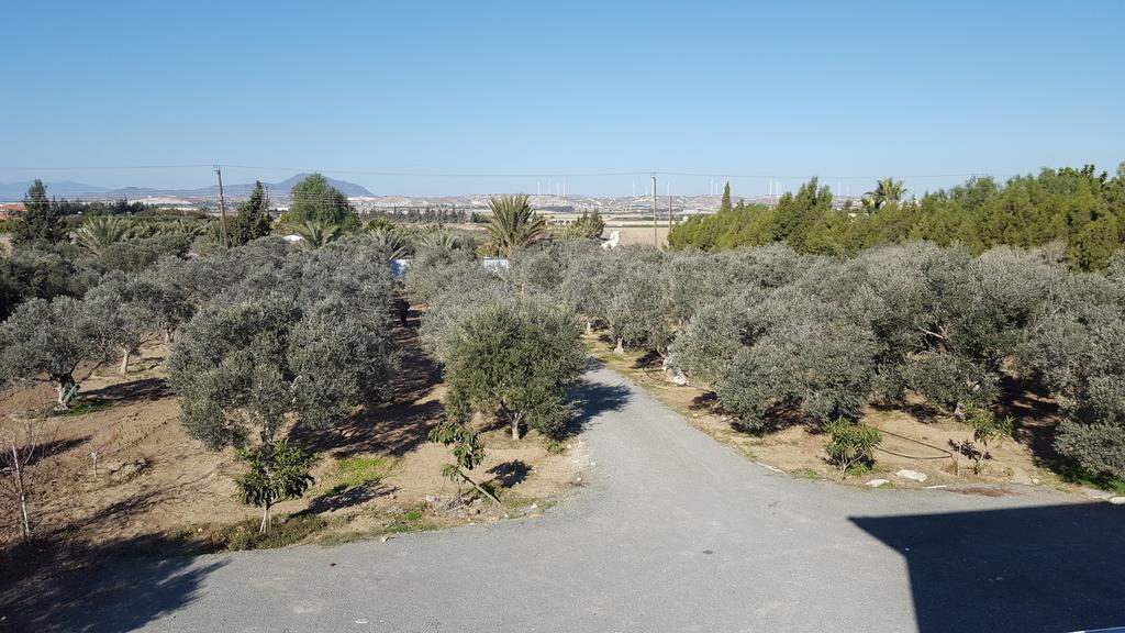 Kiti Village Villa, Cyprus, Salt-Water Pool, 6 Bedrooms, Larnaca Dış mekan fotoğraf